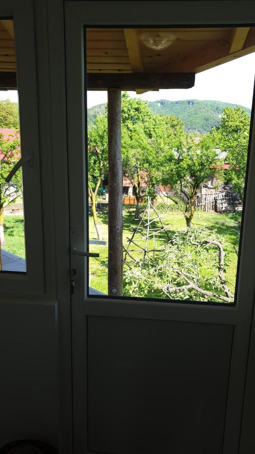 Pensiunea Patricia Oesti-Paminteni Rum bild