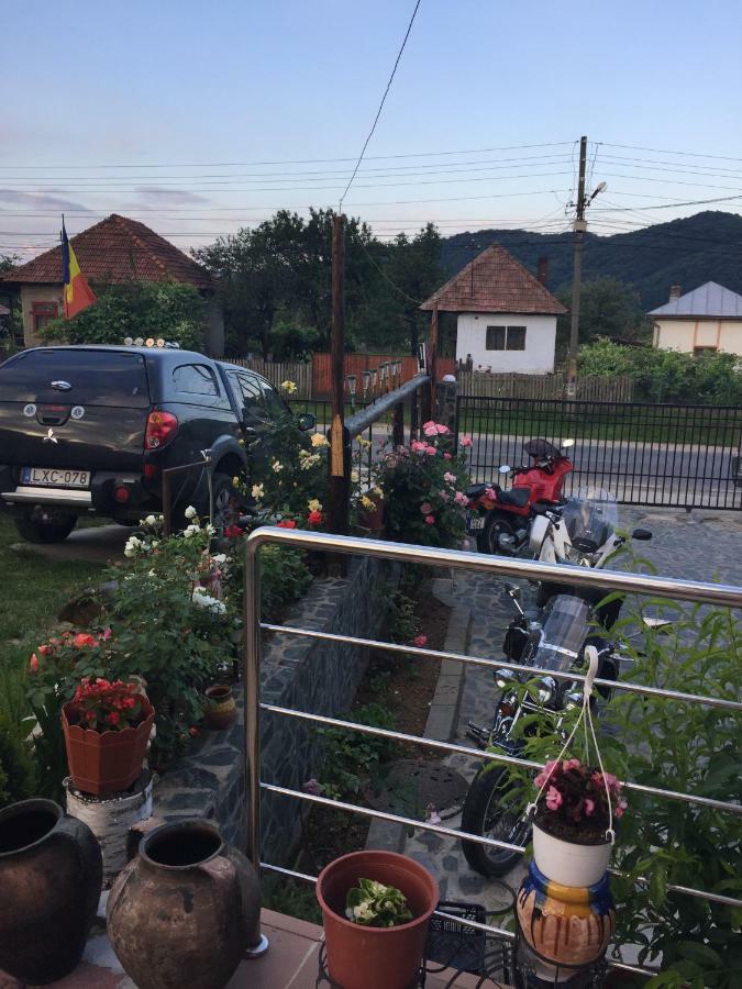 Pensiunea Patricia Oesti-Paminteni Exteriör bild